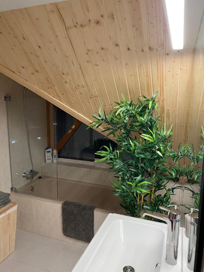 דירות קאנפראנק Atico Duplex Reformado Con Vistas A La Montana מראה חיצוני תמונה